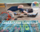 شركة تسليك مجاري بالكويت