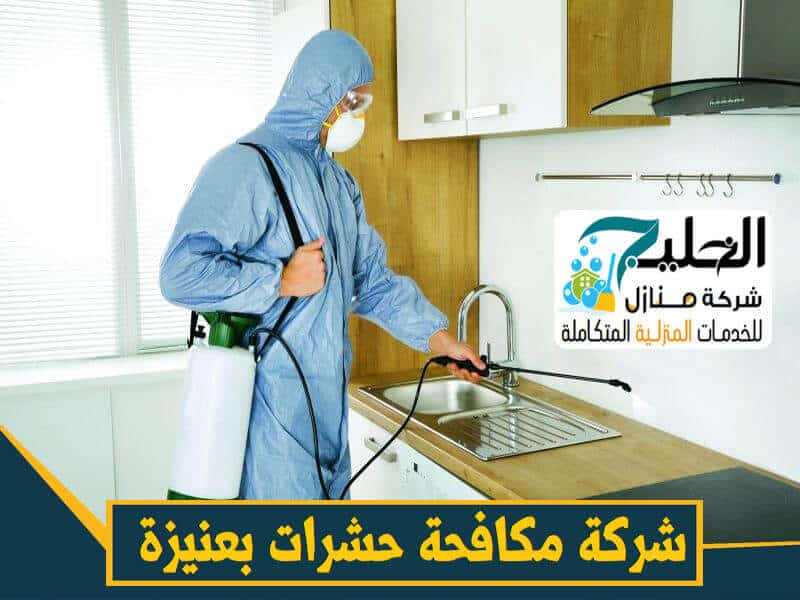 شركة مكافحة حشرات بعنيزة - خدمات احترافية لبيئة خالية من الآفات