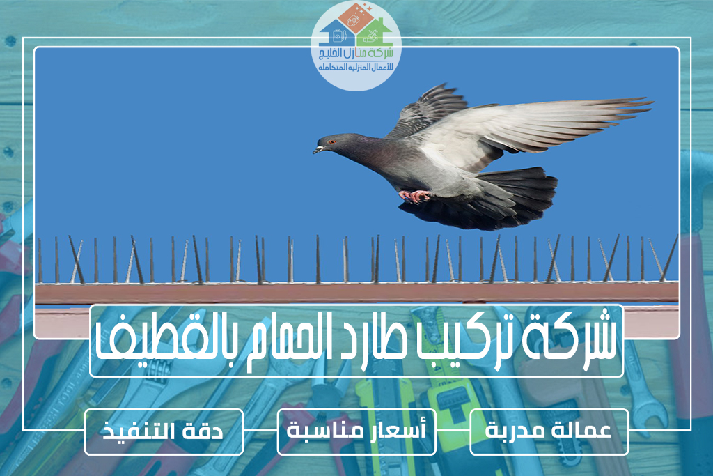 شركة تركيب طارد الحمام بالقطيف 0551686078 » شركة منازل الخليج شركة تركيب طارد الحمام بالقطيف