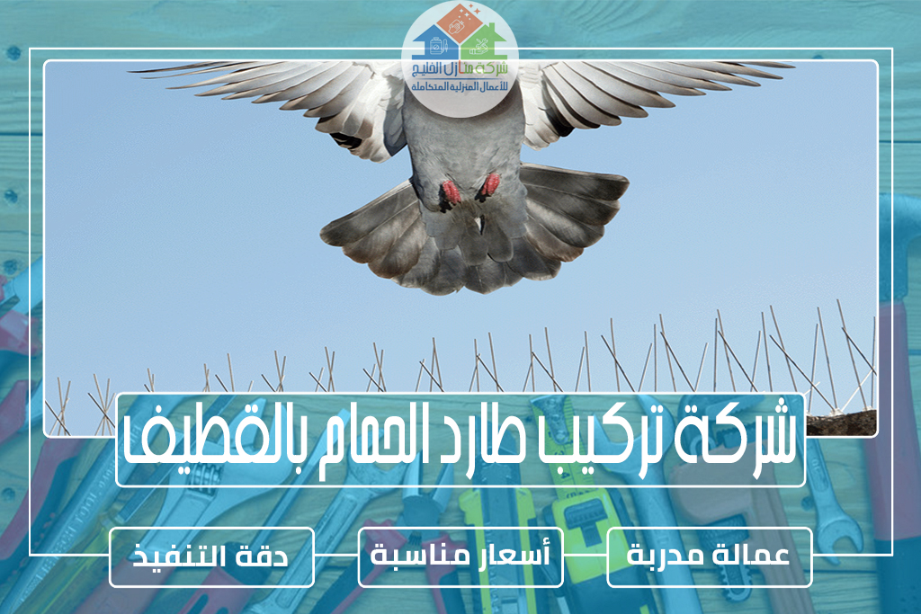 شركة تركيب طارد الحمام بالقطيف 0551686078 » شركة منازل الخليج شركة تركيب طارد الحمام بالقطيف