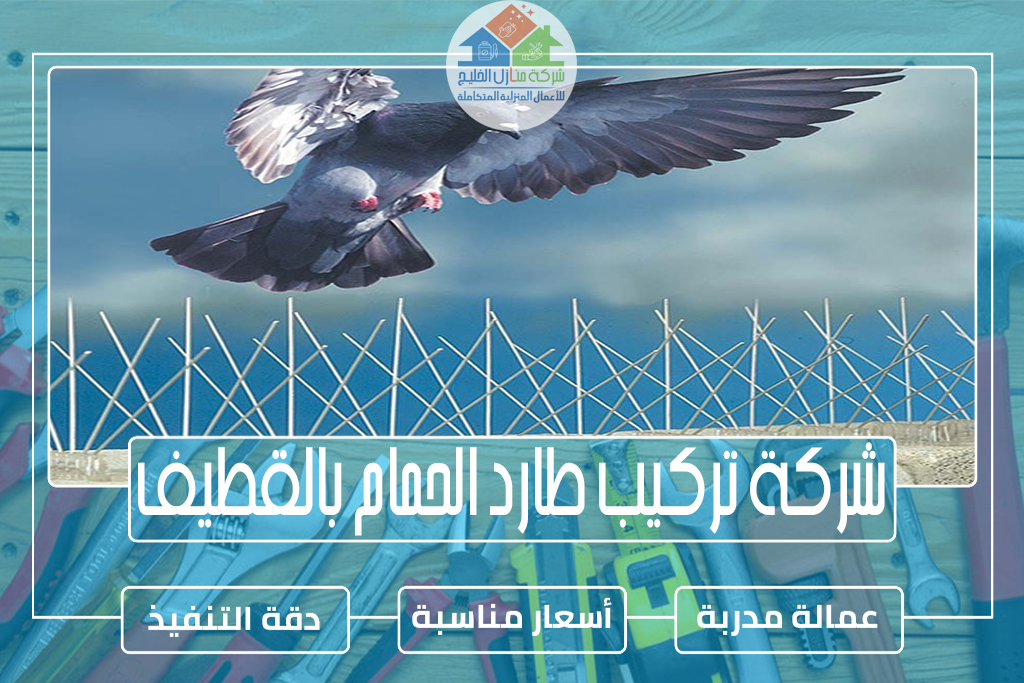 شركة تركيب طارد الحمام بالقطيف 0551686078 » شركة منازل الخليج شركة تركيب طارد الحمام بالقطيف