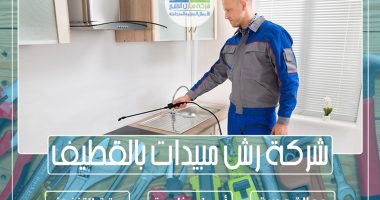 شركة رش مبيدات بالقطيف