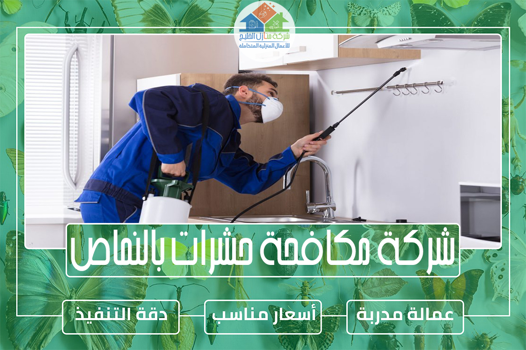 شركة مكافحة حشرات بالنماص